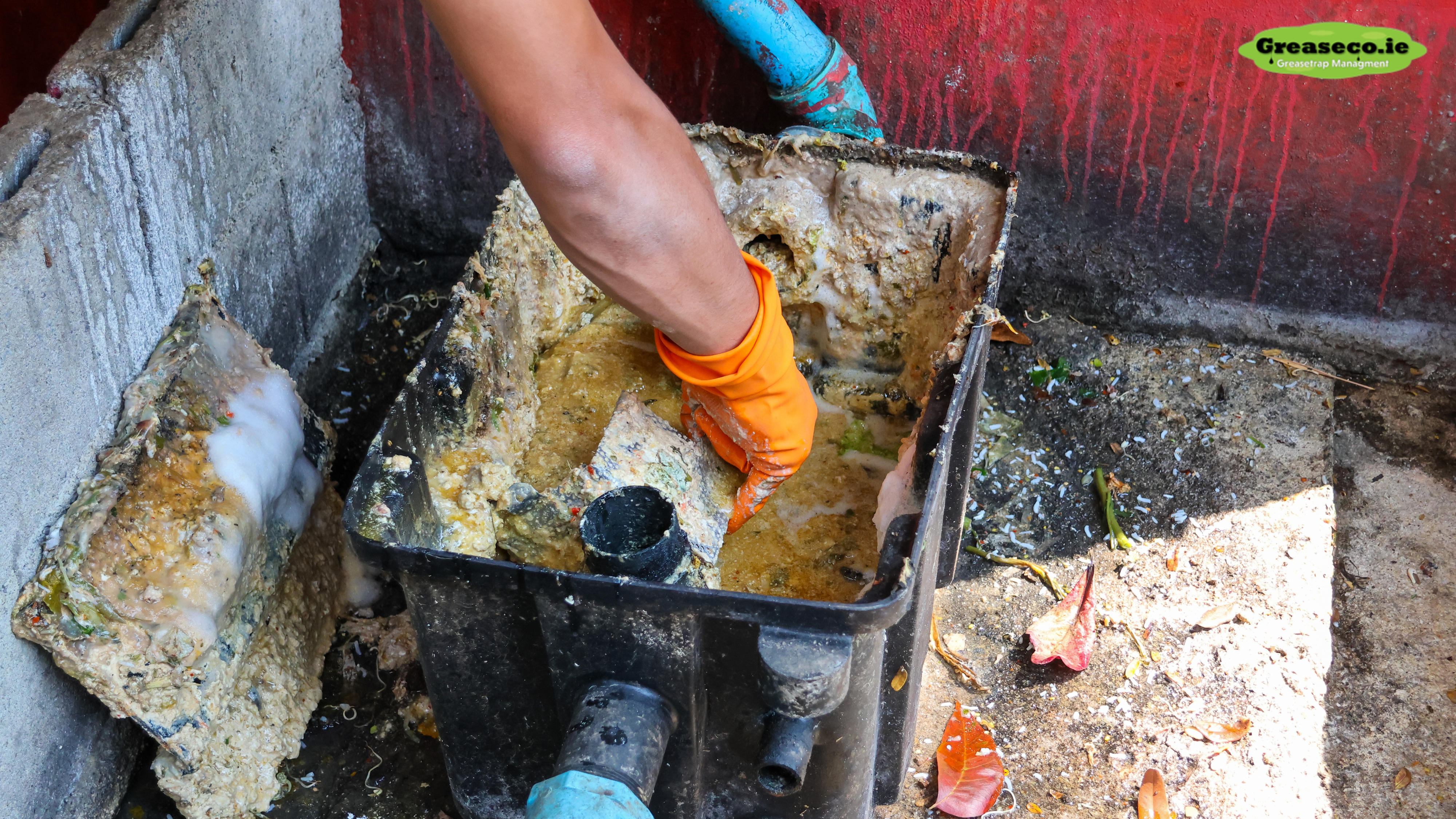 Grease Trap Size 101: Choosing the Right One for Your Restaurant